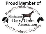 Miniature Dairy Goat Association Logo